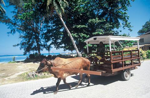 Autres photos Journée tour de Praslin et La Digue déjeuner compris (en groupe)